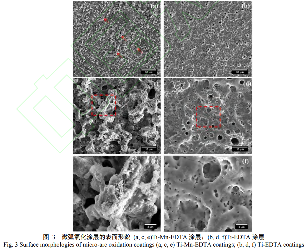 微弧氧化制備醫用鈦合金生物復合涂層研究進展 微弧氧化制備醫用鈦合金生物復合涂層研究進展