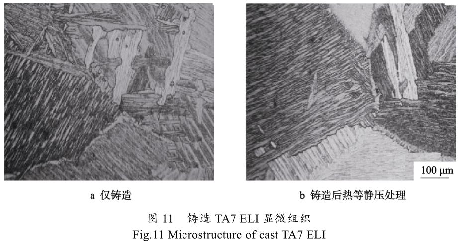 1699223205437390.jpg t11.jpg