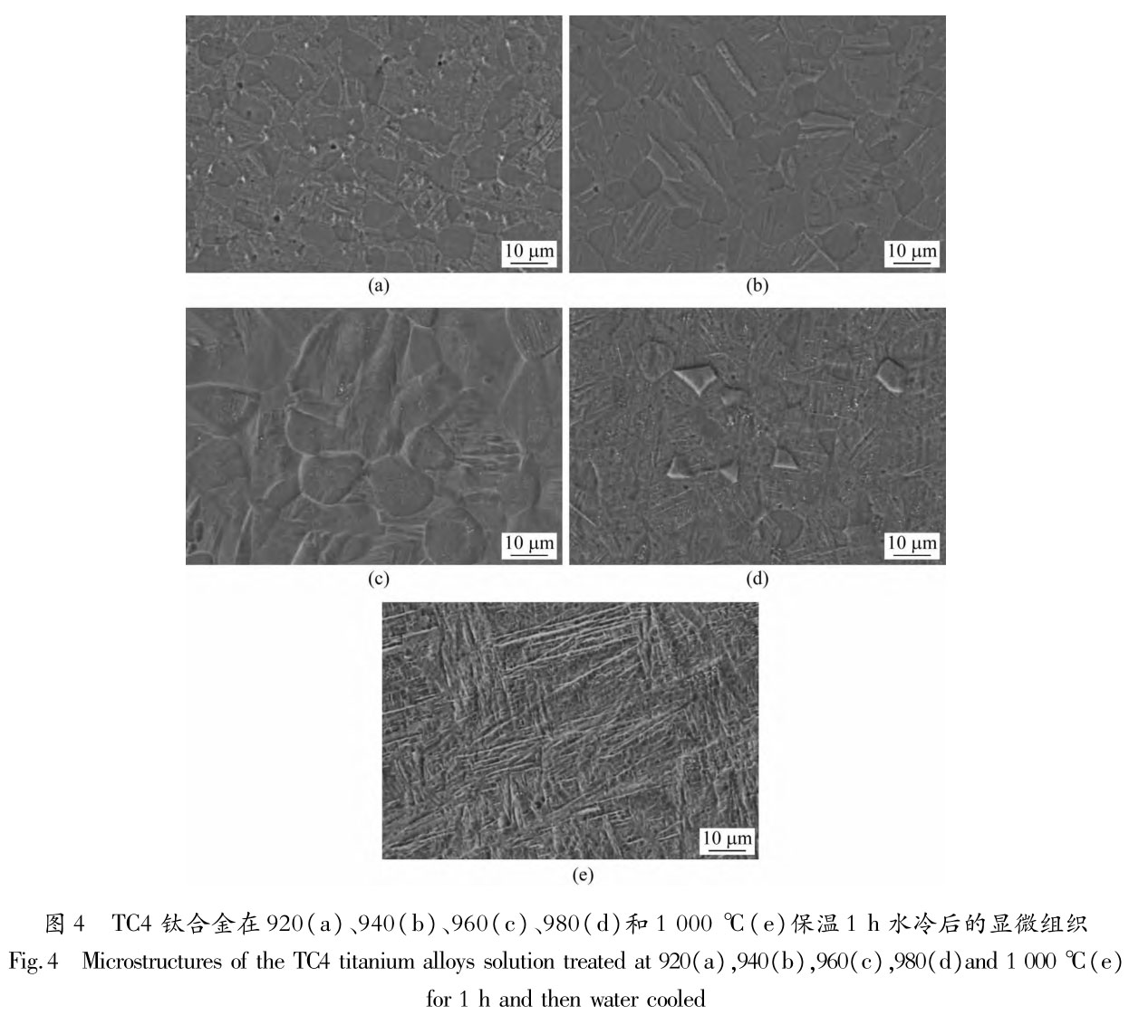 1705831244116783.jpg t4.jpg