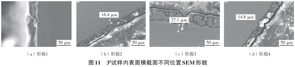 1712629278690228.jpg 11.jpg