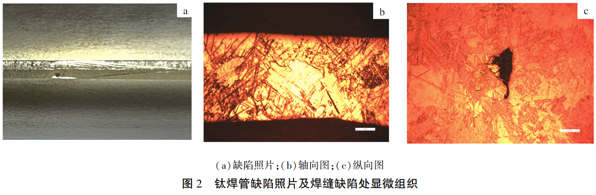 1732365680952019.png 2.png