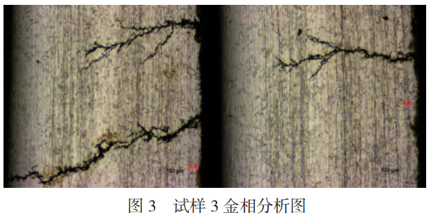 1735482946598549.png 截圖20241229223328.png