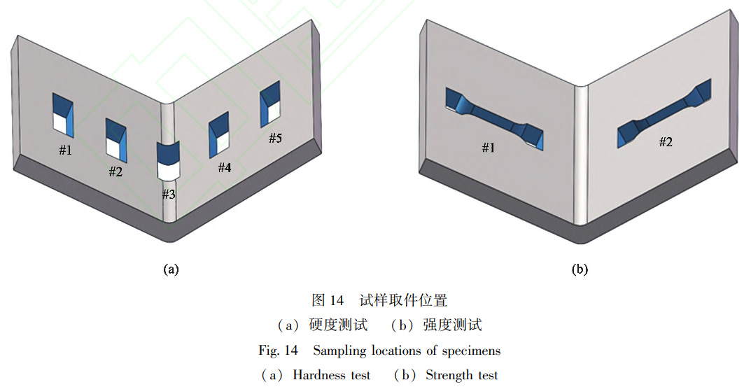 1738670927722548.jpg t14.jpg