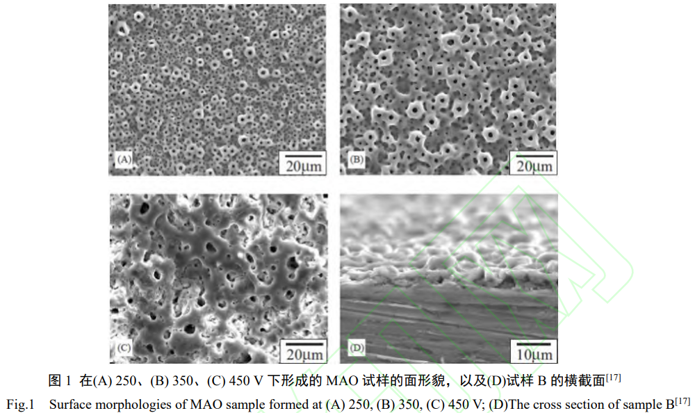 1738674156918360.png 1.png